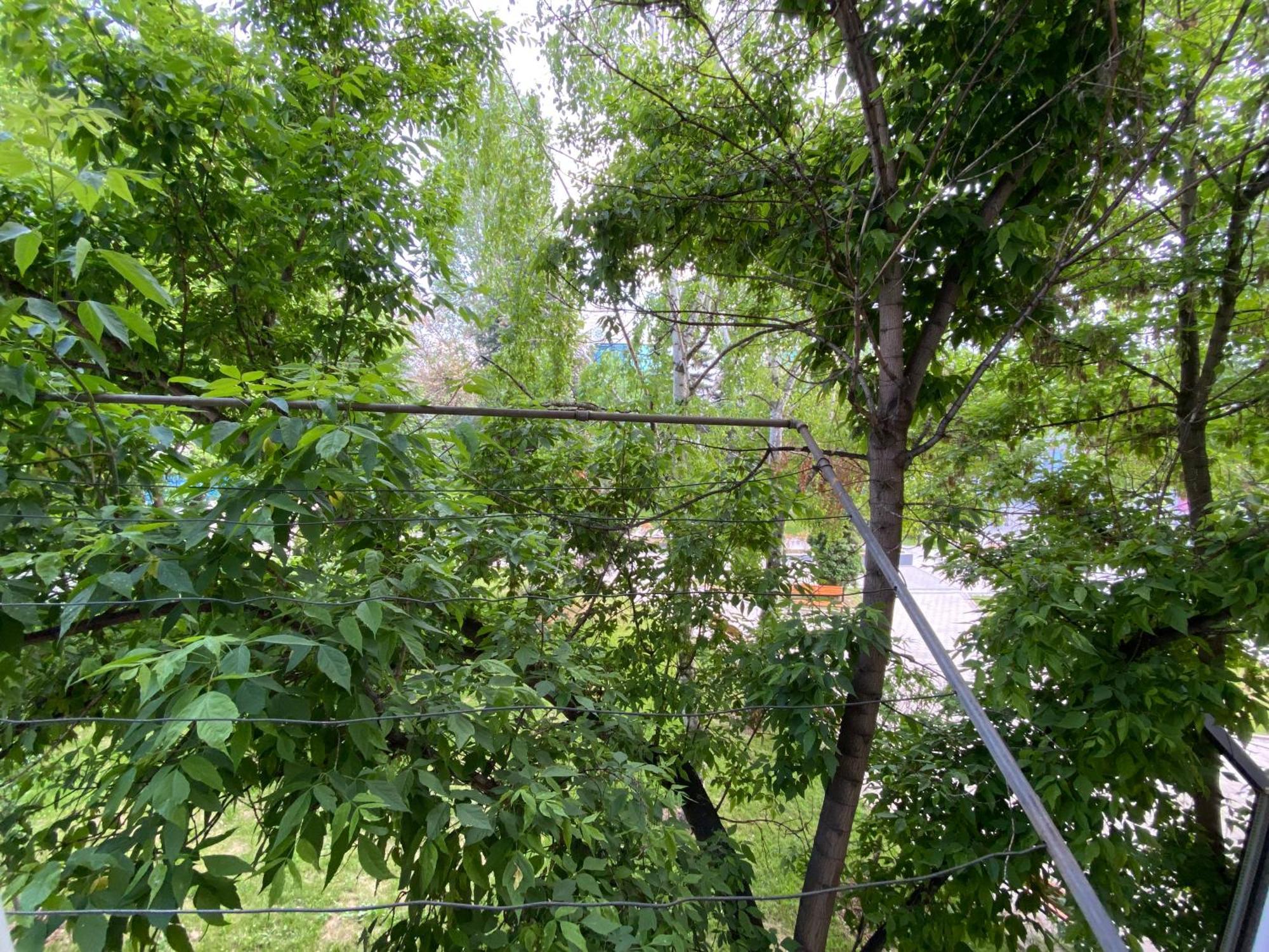 Hotspot Apartments - City Center Приштина Экстерьер фото